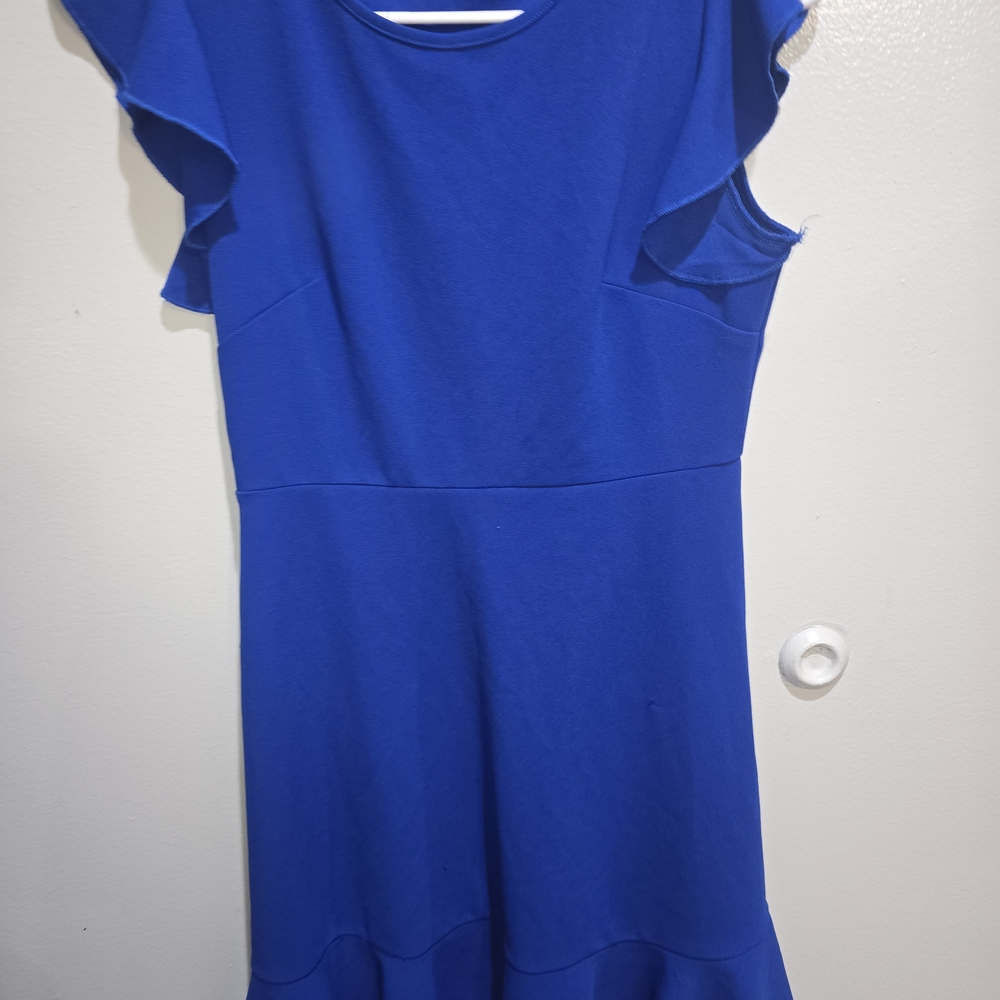 Blue Ruffle Sleeve Dress